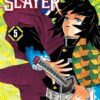 Demon Slayer - Kimetsu No Yaiba ( Serie Completa 23 Tomos) | Ivrea Argentina