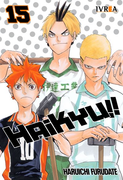 Haikyu!! 15 | Ivrea Argentina