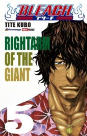 BLEACH N.5 | Panini México