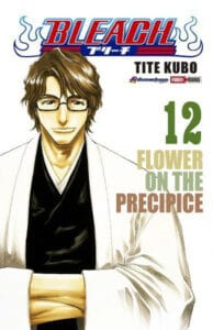 Bleach-12.jpg Bleach 12 | Panini México