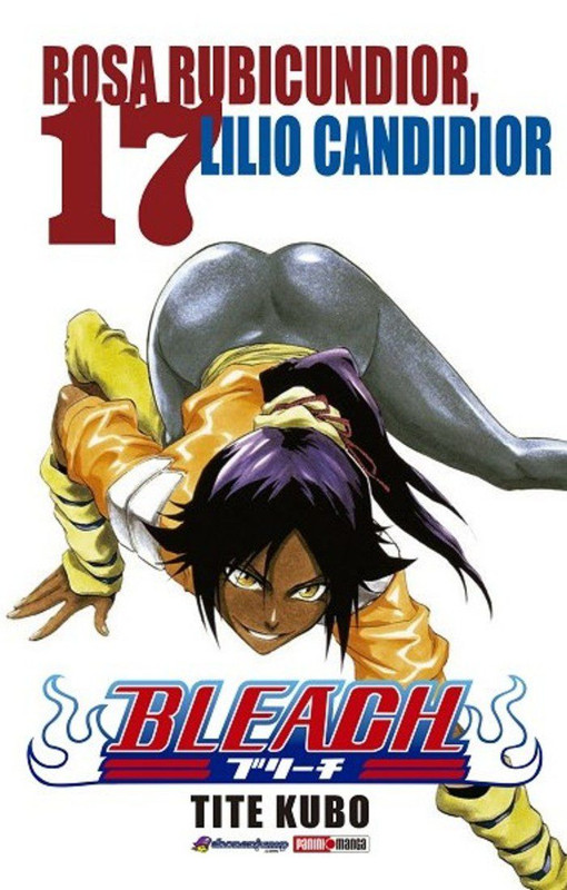 BLEACH N.17 | Panini México