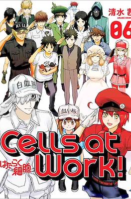 Cells-at-Work-6.jpg Cells at Work 06 (Ultimo Tomo) | Utopia Manga