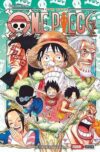 One-Piece060.jpg One Piece 60 | Panini México