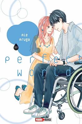 PERFECT WORLD N.11 | Panini México