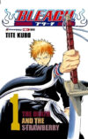 Bleach 01 | Panini México