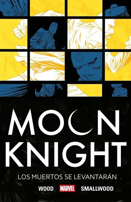 MARVEL VINTAGE MOON KNIGHT BY BRYAN WOOD