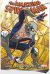 THE-AMAZING-SPIDER-MAN-N-12.jpg THE AMAZING SPIDER-MAN 12