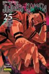 Jujutsu Kaisen 25